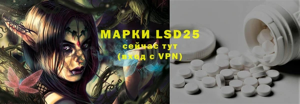 PSILOCYBIN Абаза