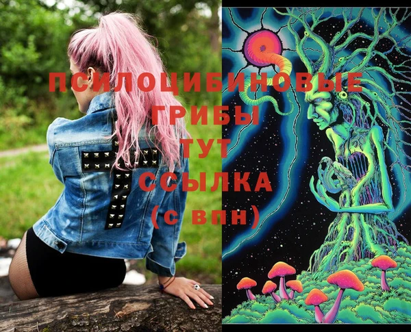 PSILOCYBIN Абаза