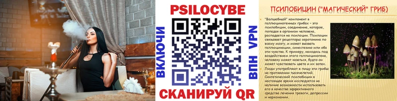 дарнет шоп  Тайга  Псилоцибиновые грибы Psilocybine cubensis 